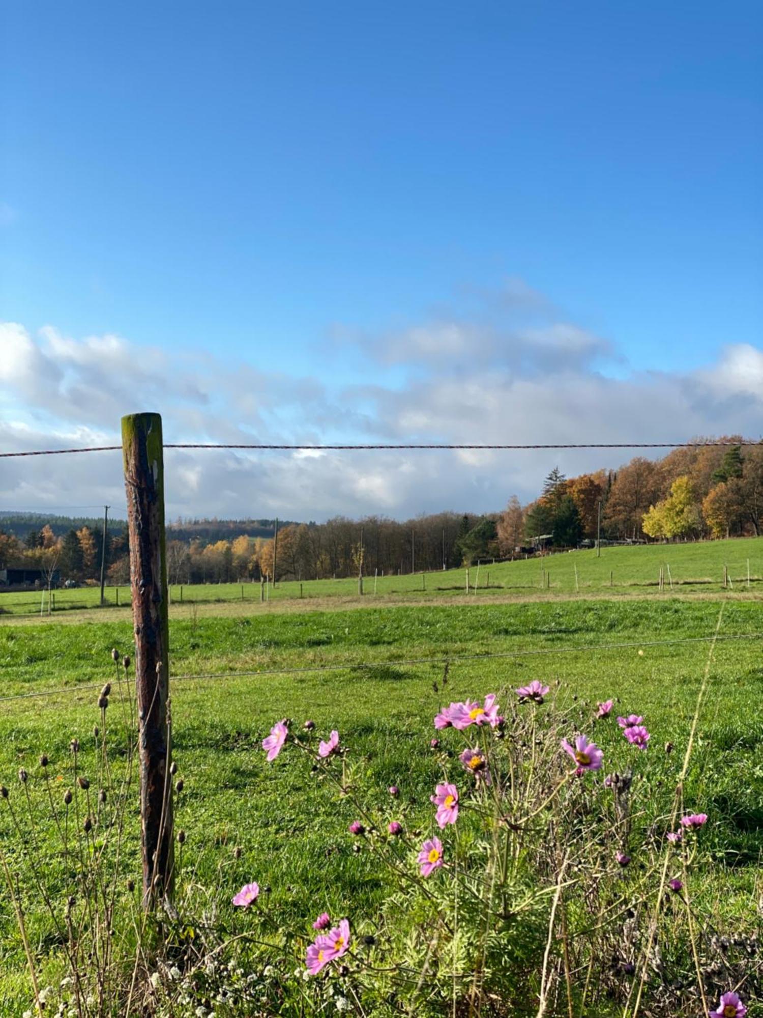Eifel Ferienhaus Luna Ohlenhard Dış mekan fotoğraf