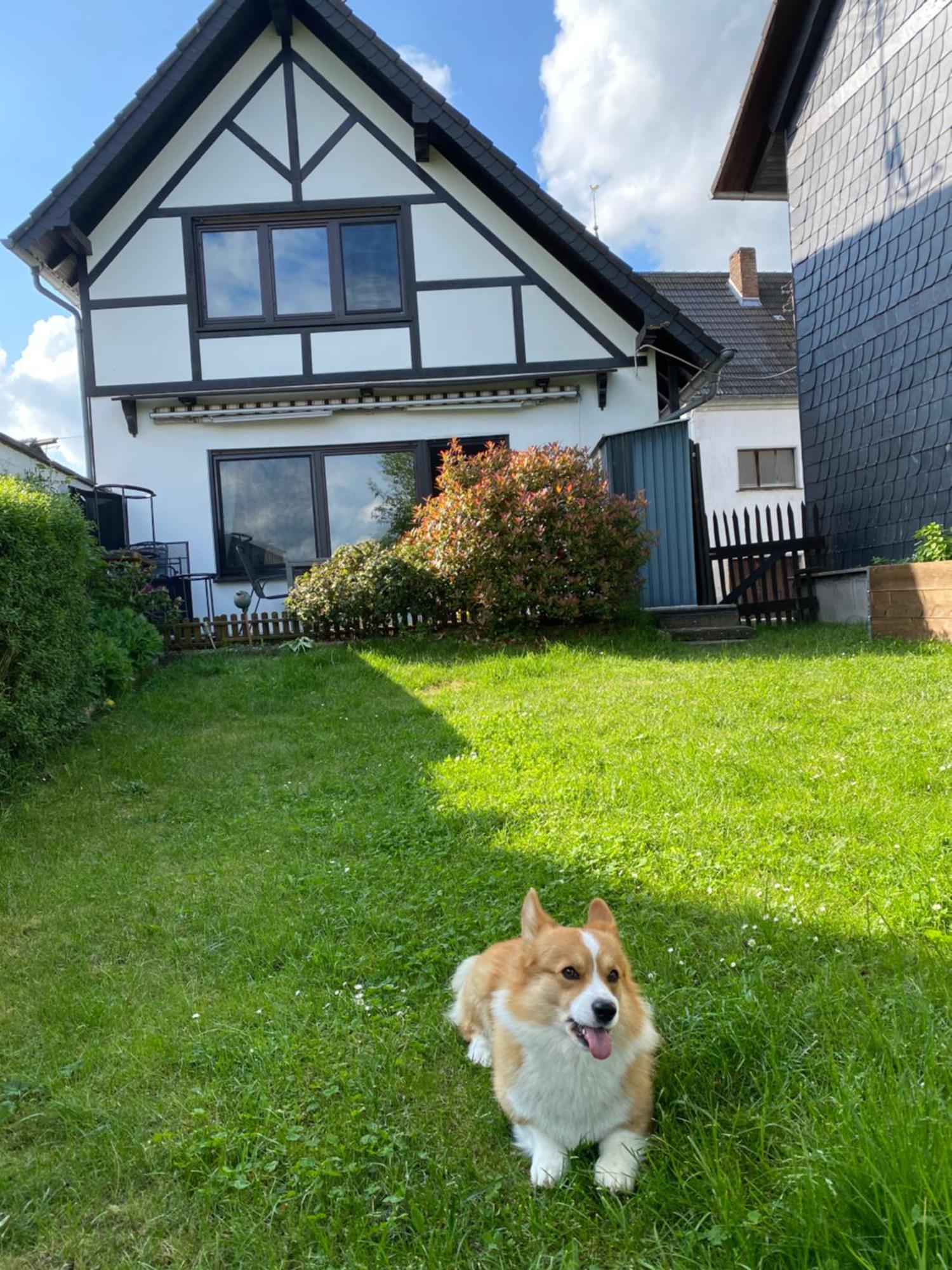 Eifel Ferienhaus Luna Ohlenhard Dış mekan fotoğraf