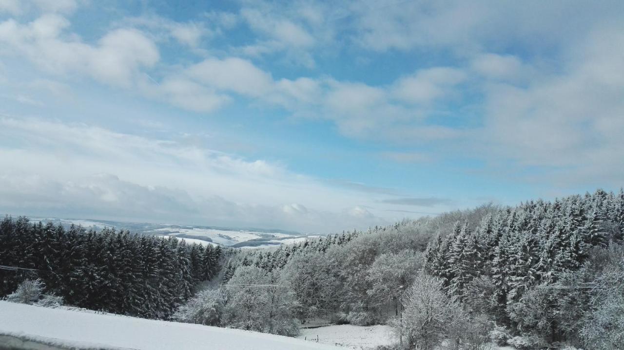 Eifel Ferienhaus Luna Ohlenhard Dış mekan fotoğraf